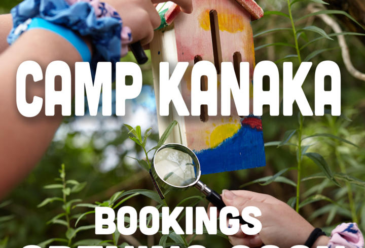 Camp Kanaka Bookings Open For Day Camps   Lougheed Area Girl Guides